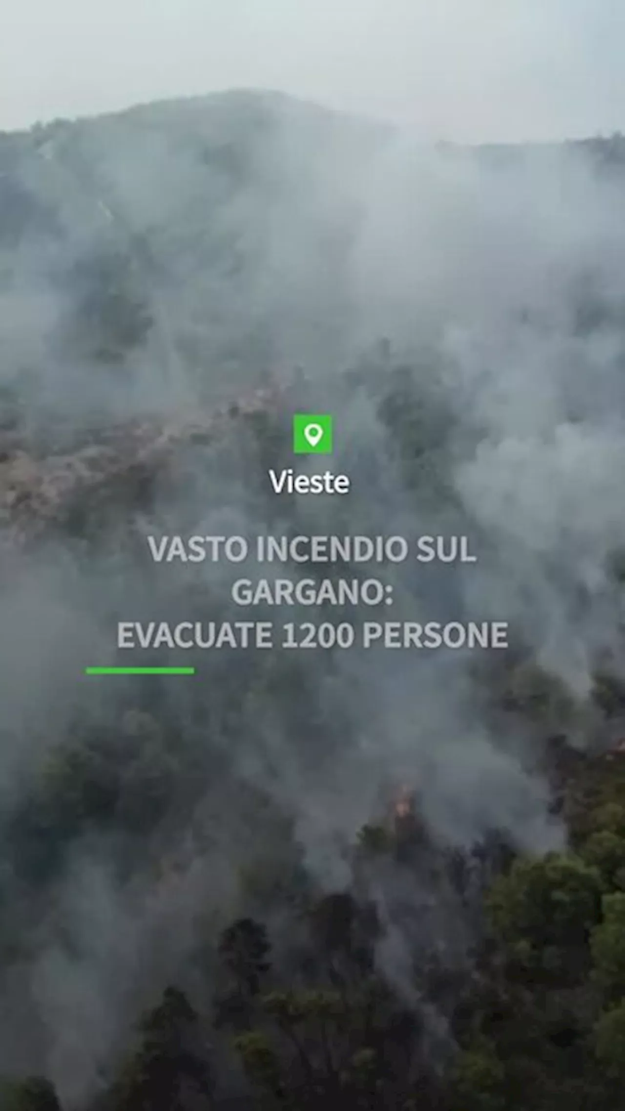 Vasto incendio sul Gargano: evacuate 1200 persone