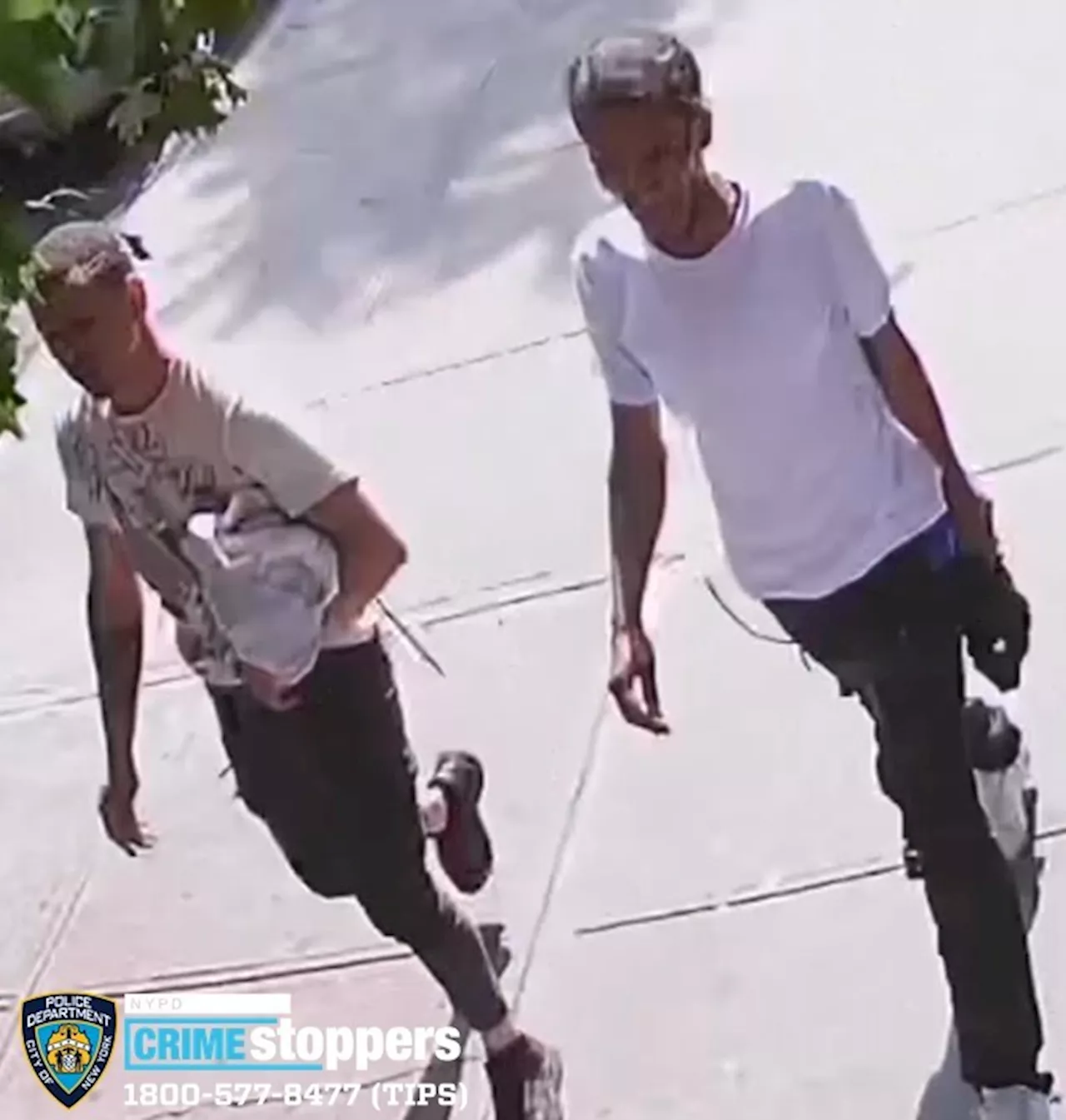 Manhattan/Bronx robbery crew getting bolder while stealing motorcycles and necklaces: NYPD