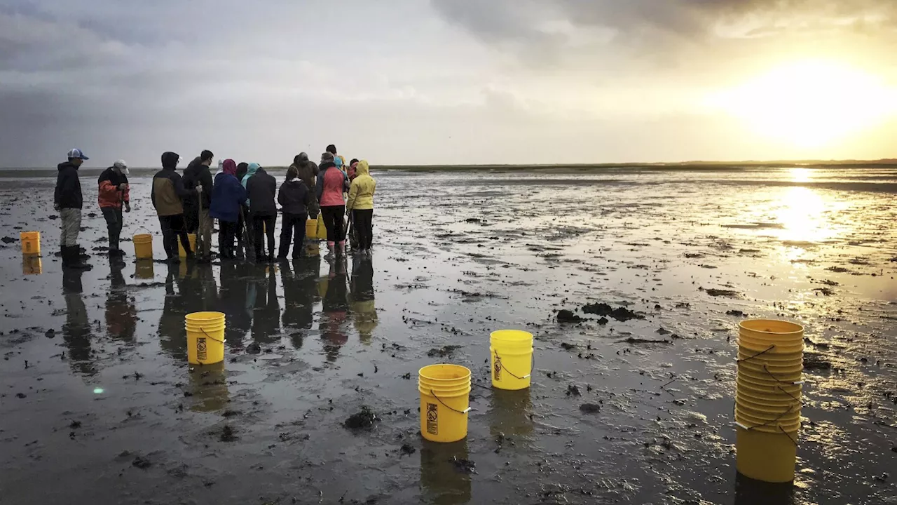 William & Mary expands new climate-focused major, deepens coastal research with $100 million gift