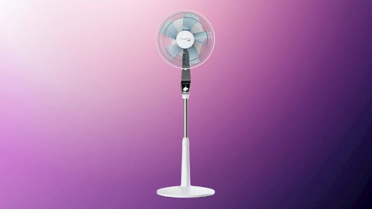 Ne manquez pas ce ventilateur Rowenta à moins de 90 euros, c’est fou