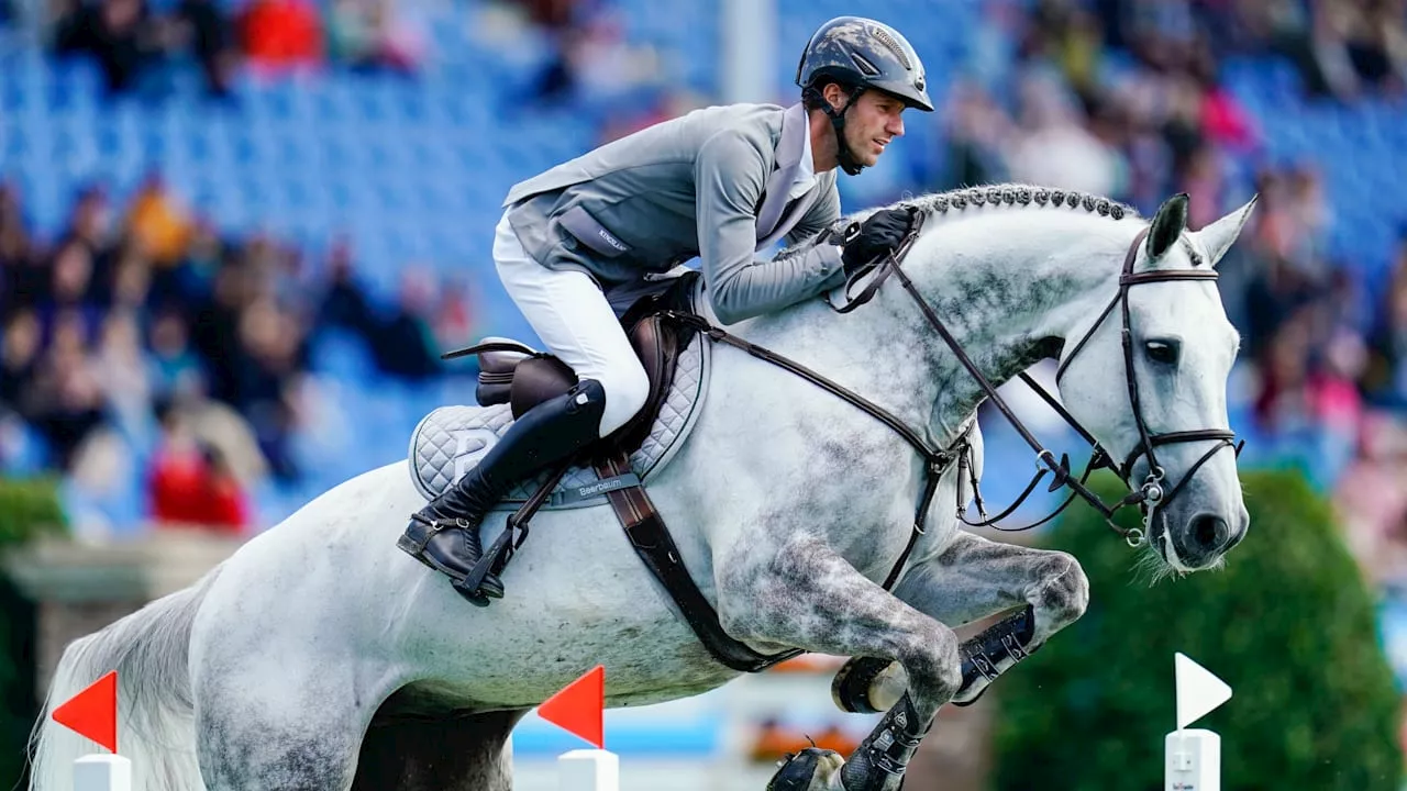 Pferde-Verbot bei Olympia: Wenn Pferde lächeln könnten …