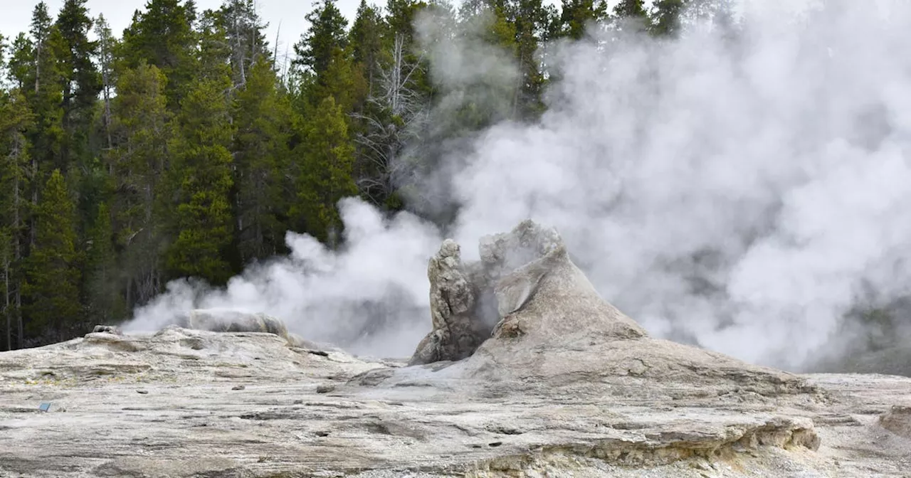 Geysir explodiert plötzlich – Touristen müssen fliehen