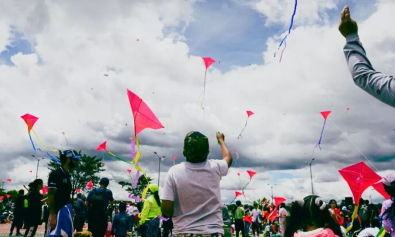 Festival de Verano 2024 en Bogotá: conozca toda la programación