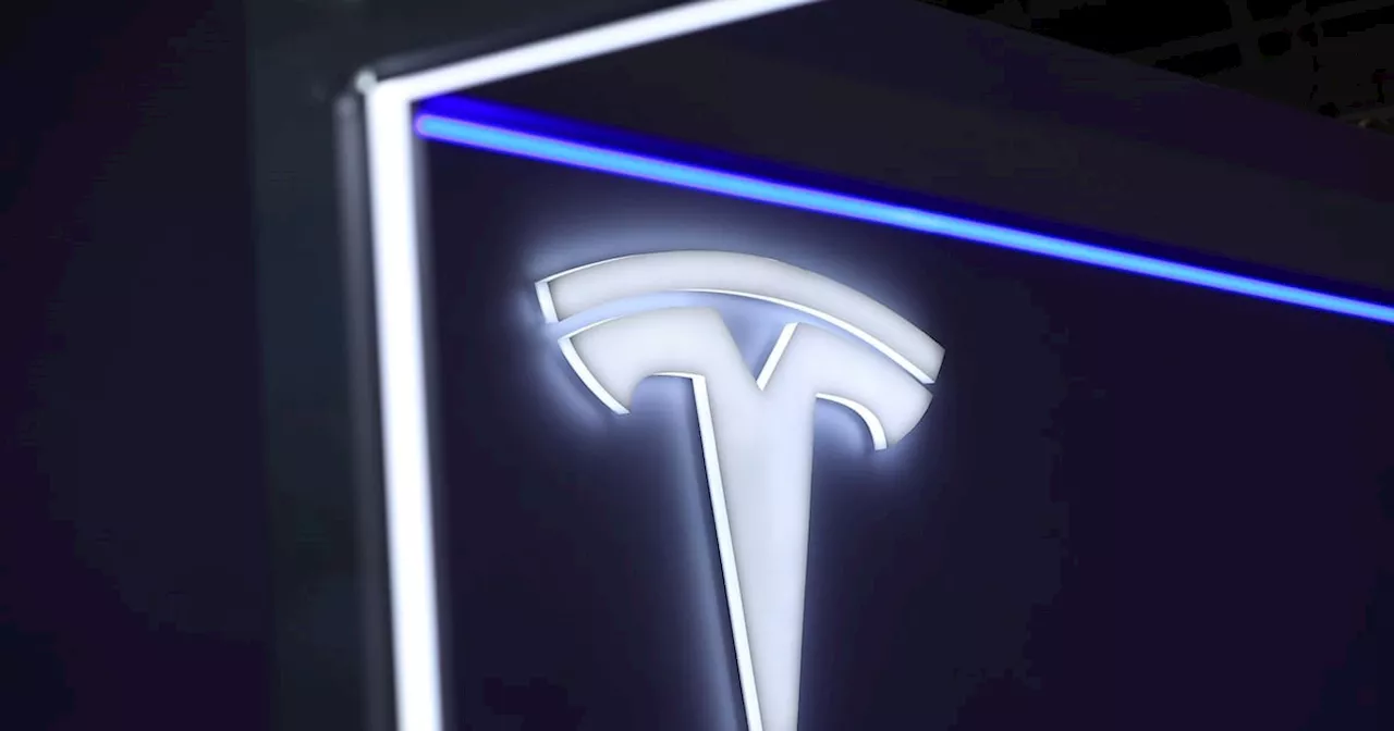 Tesla rally gives way to rout as analysts sour on the stock