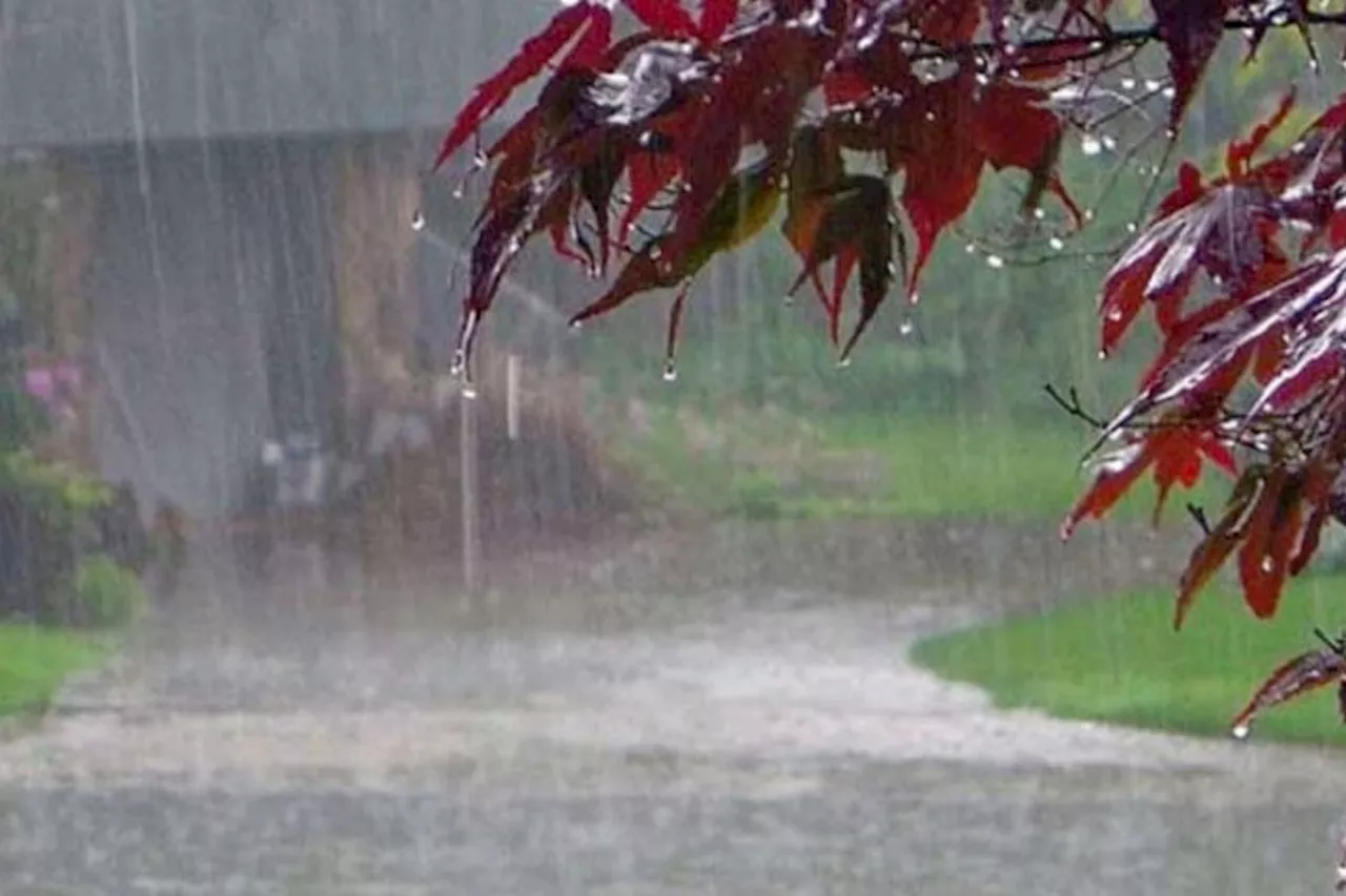 More rain windstorm showers likely at various parts of country