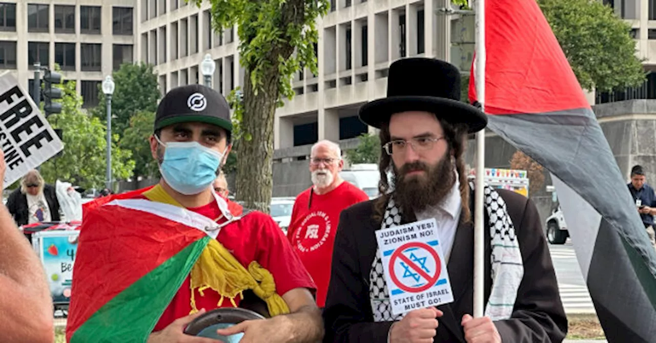 Anti-Israel Protesters Replace American Flags at Union Station with Palestinian Flags