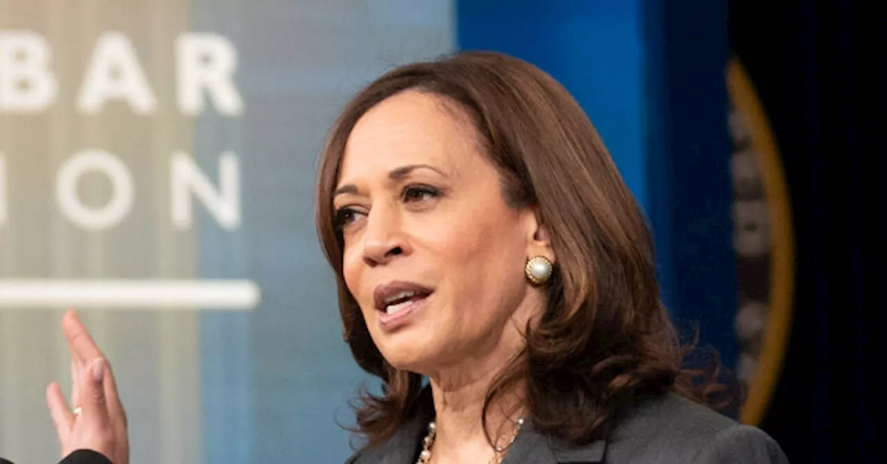 CNN Poll: 73% of Democrats Want Someone Other Than Kamala Harris as Nominee