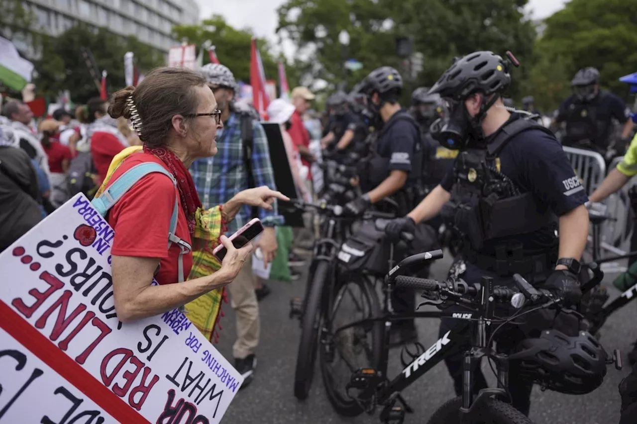 Police deploy pepper spray as crowd protesting Israel's war in Gaza marches toward US Capitol