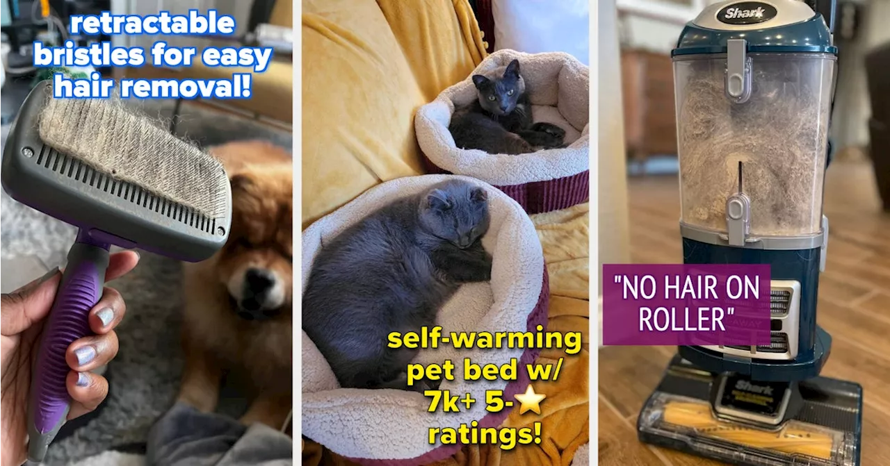 48 Pet Products That Are, In A Word, Reliable