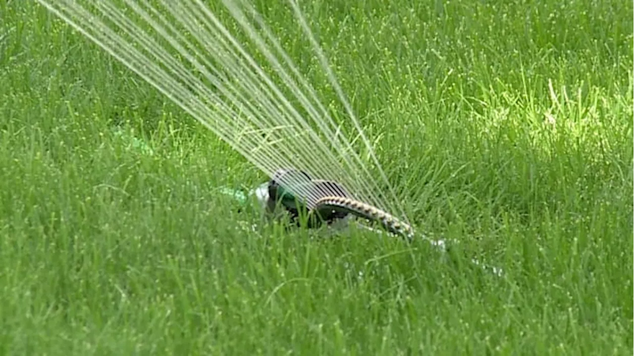 Calgary turning on another water pump at Bearspaw plant