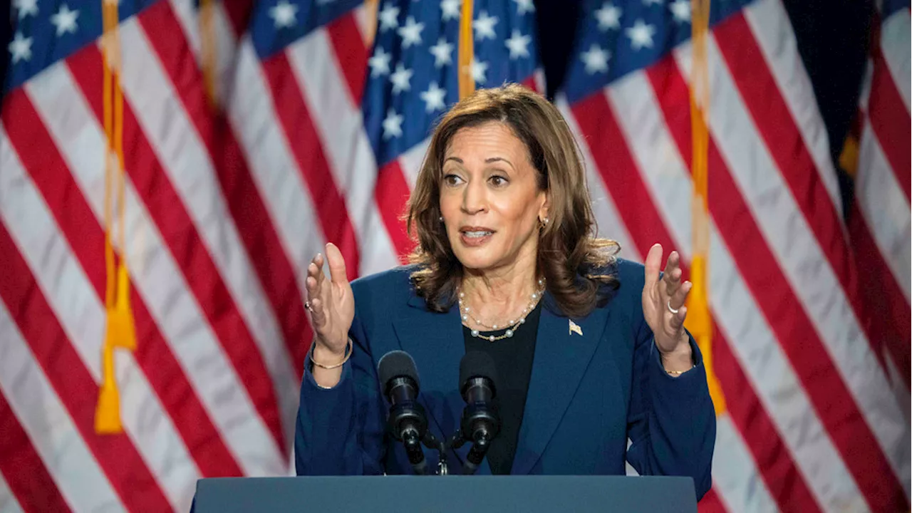 Fact Check Team: Will Kamala Harris' appeal to Gen Z win votes or just likes?