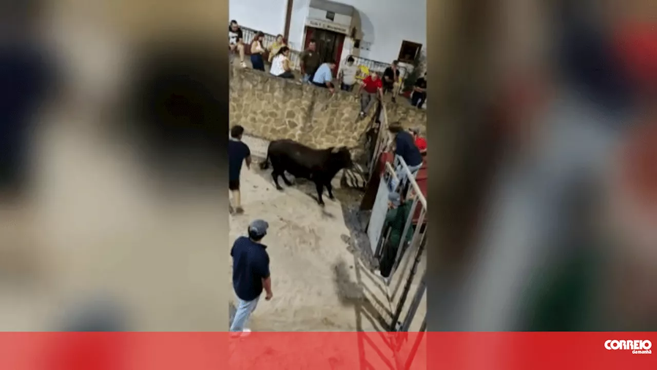 Homem gravemente ferido após ser colhido por touro em Portalegre