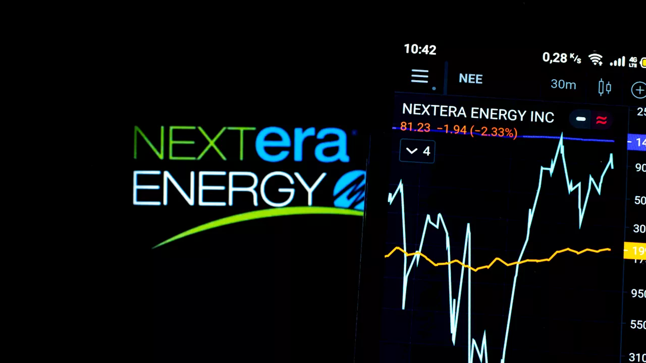 Renewable energy demand will triple as electricity consumption surges, NextEra CEO says