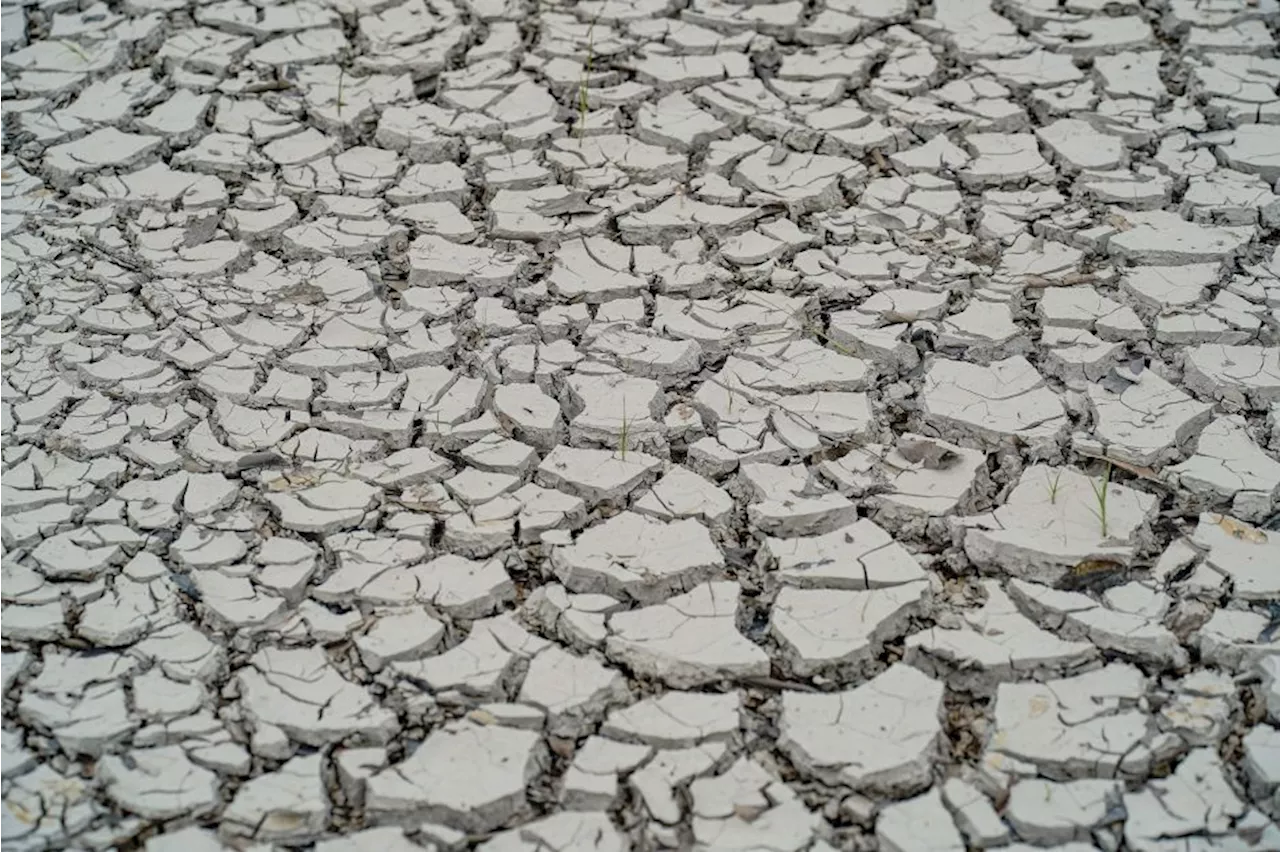 Seca faz cidades do Acre decretarem emergência por baixo nível dos rios