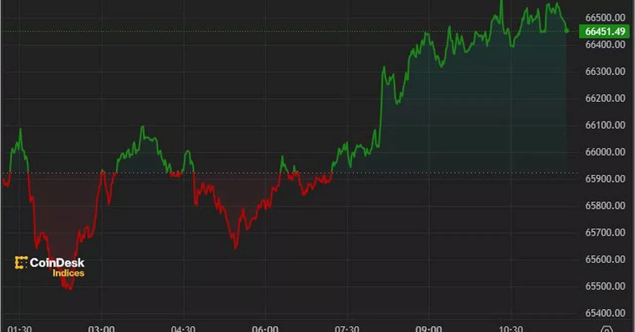 First Mover Americas: Bitcoin Regains $66,000, but Mt. Gox Selling Pressure Persists