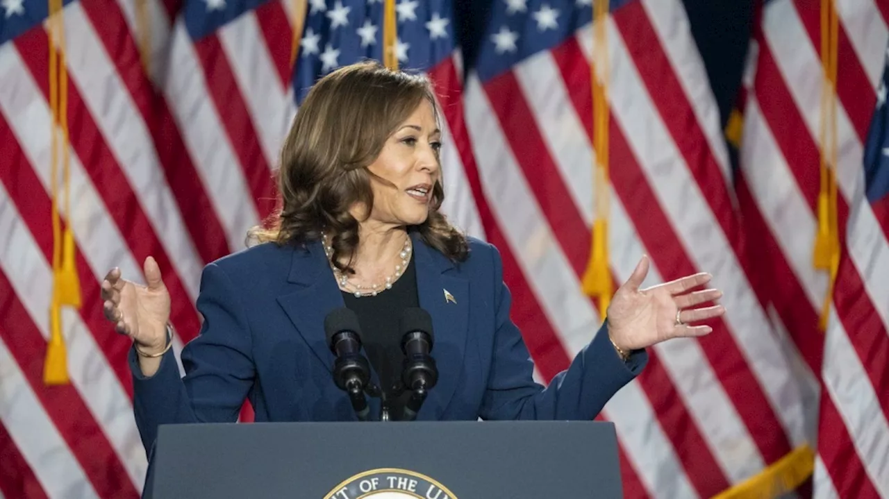 Republican leaders urge colleagues to steer clear of racist and sexist attacks on Harris