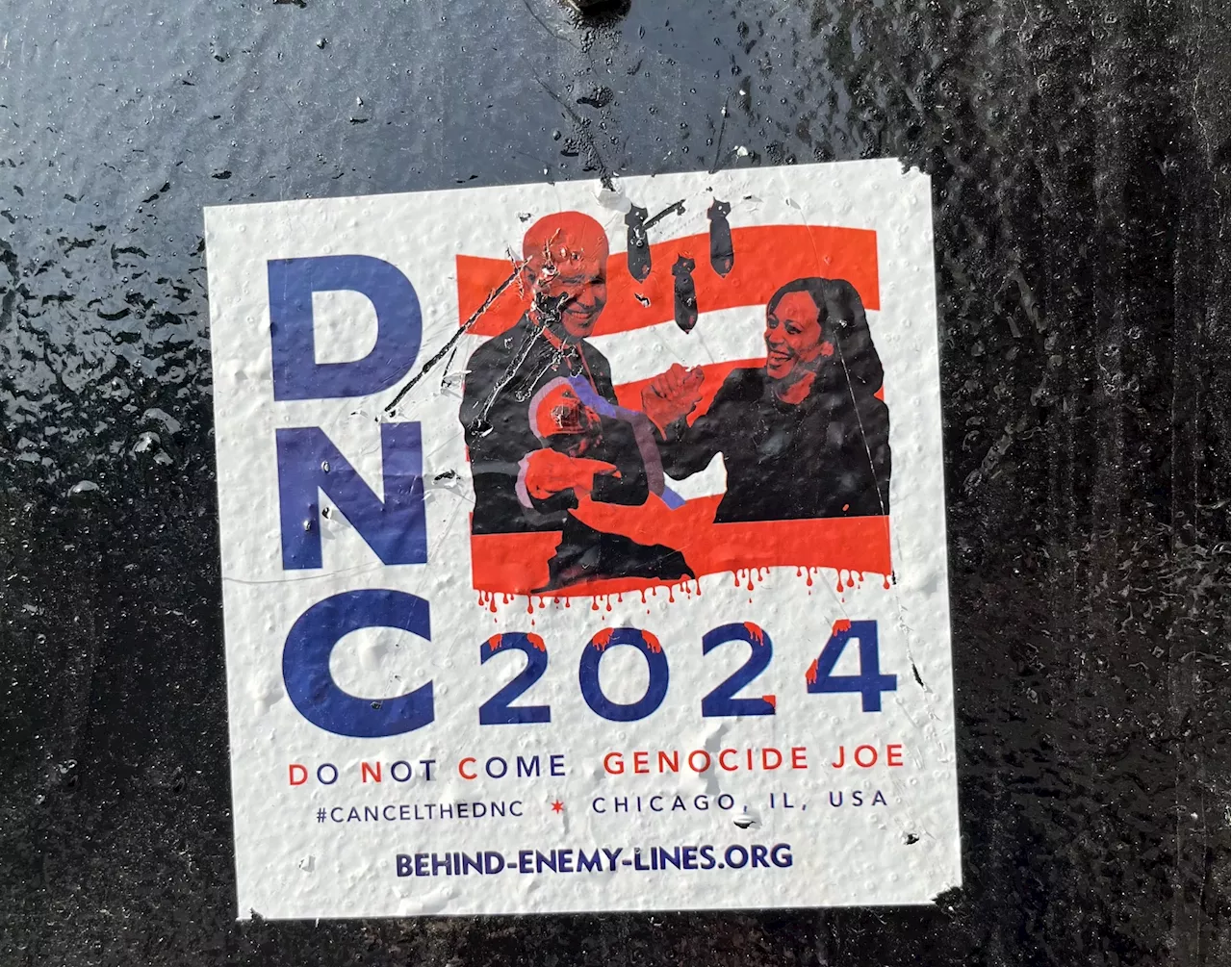 Anti-Israel activists who sought to oust Biden and disrupt DNC put pressure on Harris