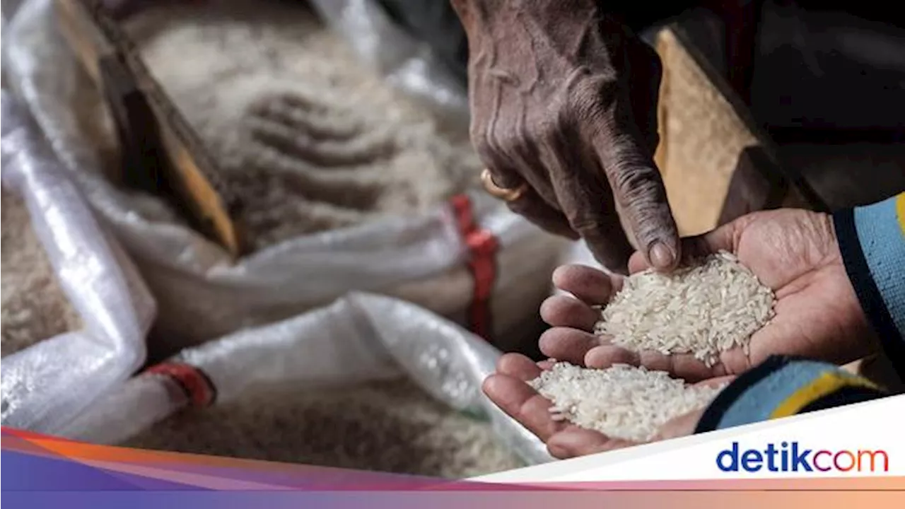 Harga Beras Naik Lagi di 116 Daerah, Ternyata Ini Biang Keroknya