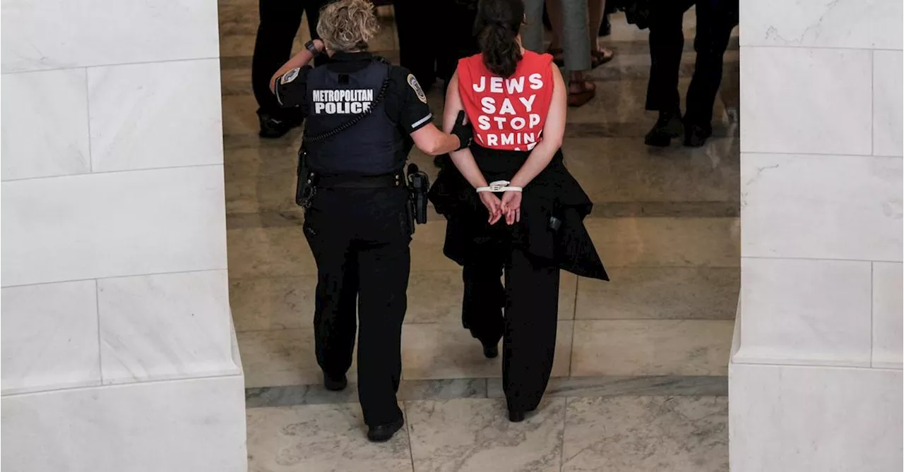 Hunderte Festnahmen bei Protest vor Netanjahu-Rede in USA