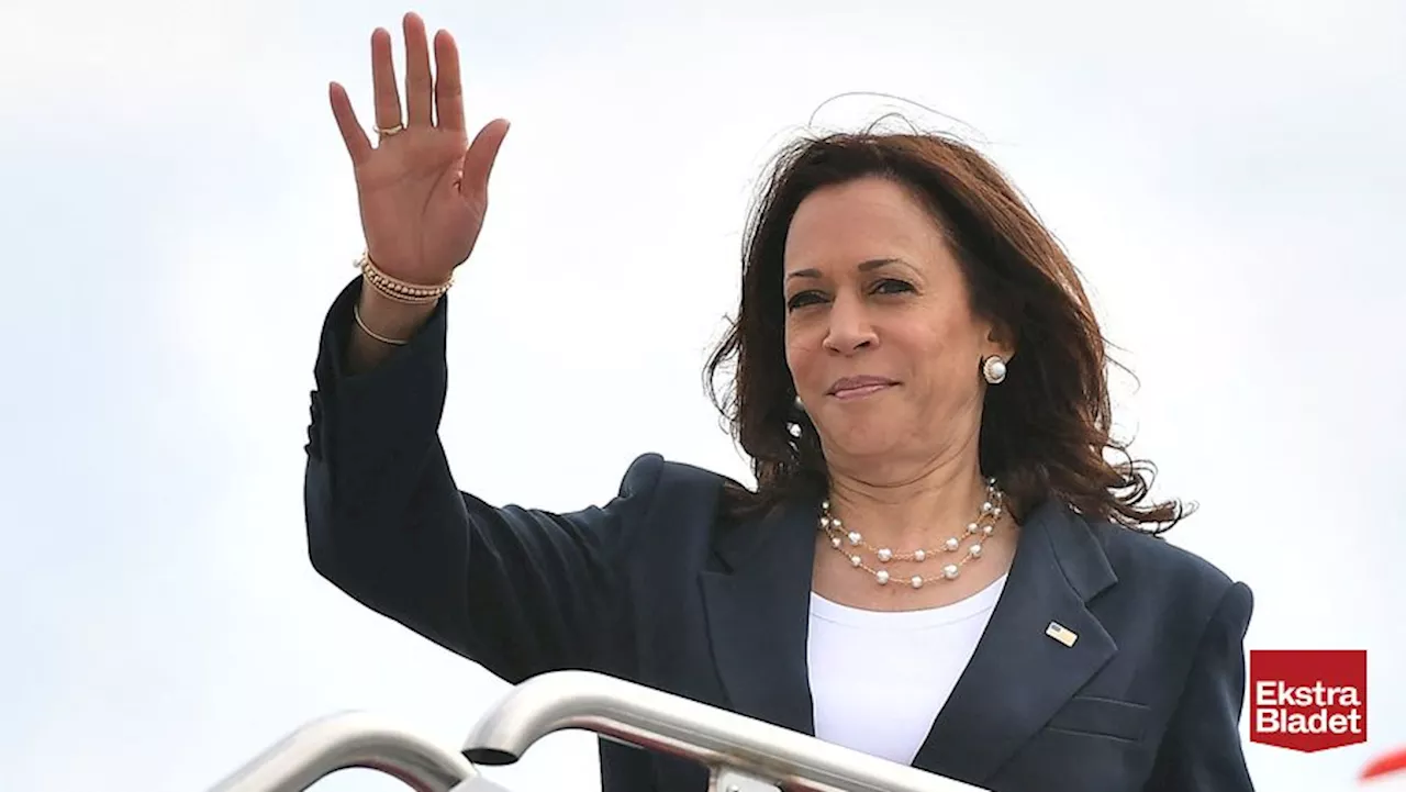 Ekspert: Kamala Harris står over for 'utroligt vigtigt valg'