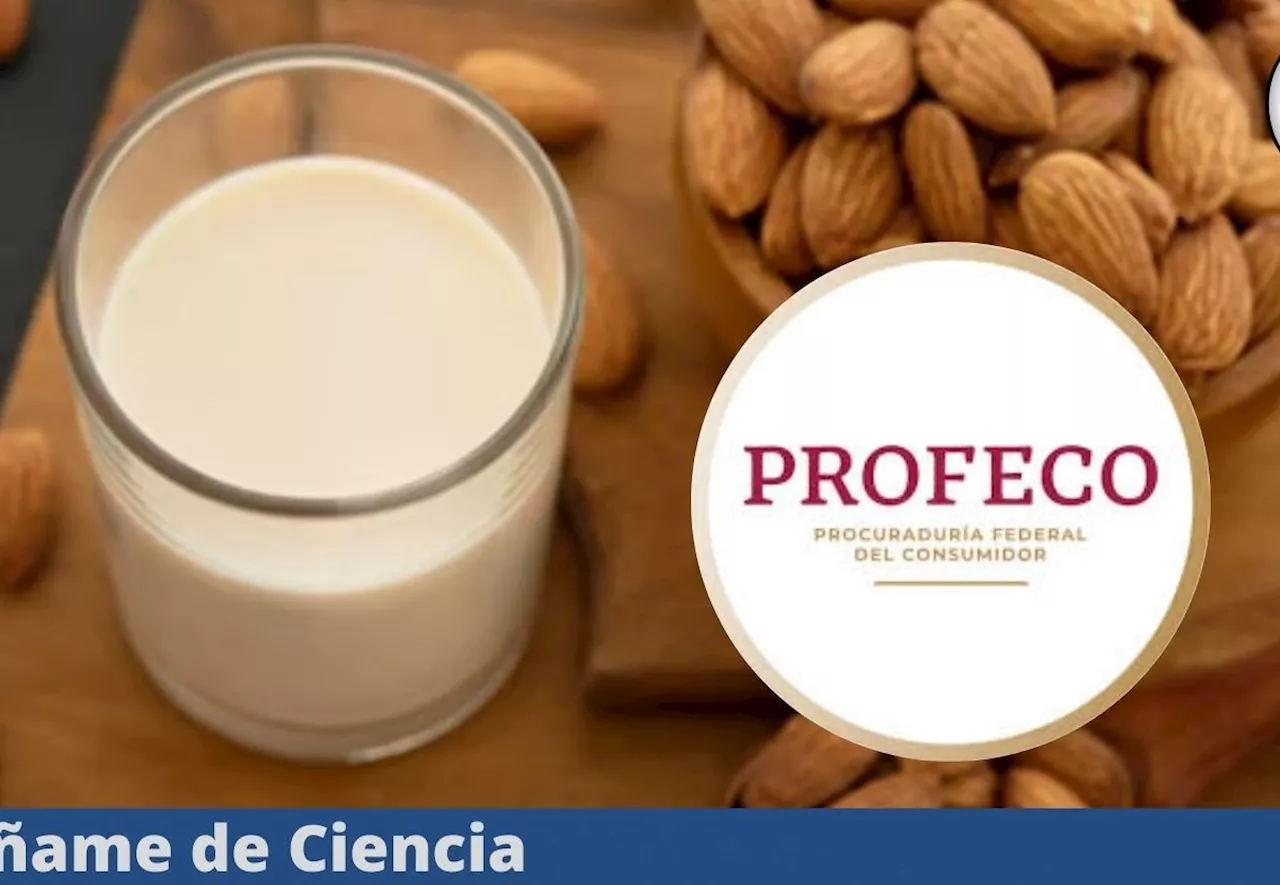 Estas son las MEJORES leches de almendras, según la PROFECO