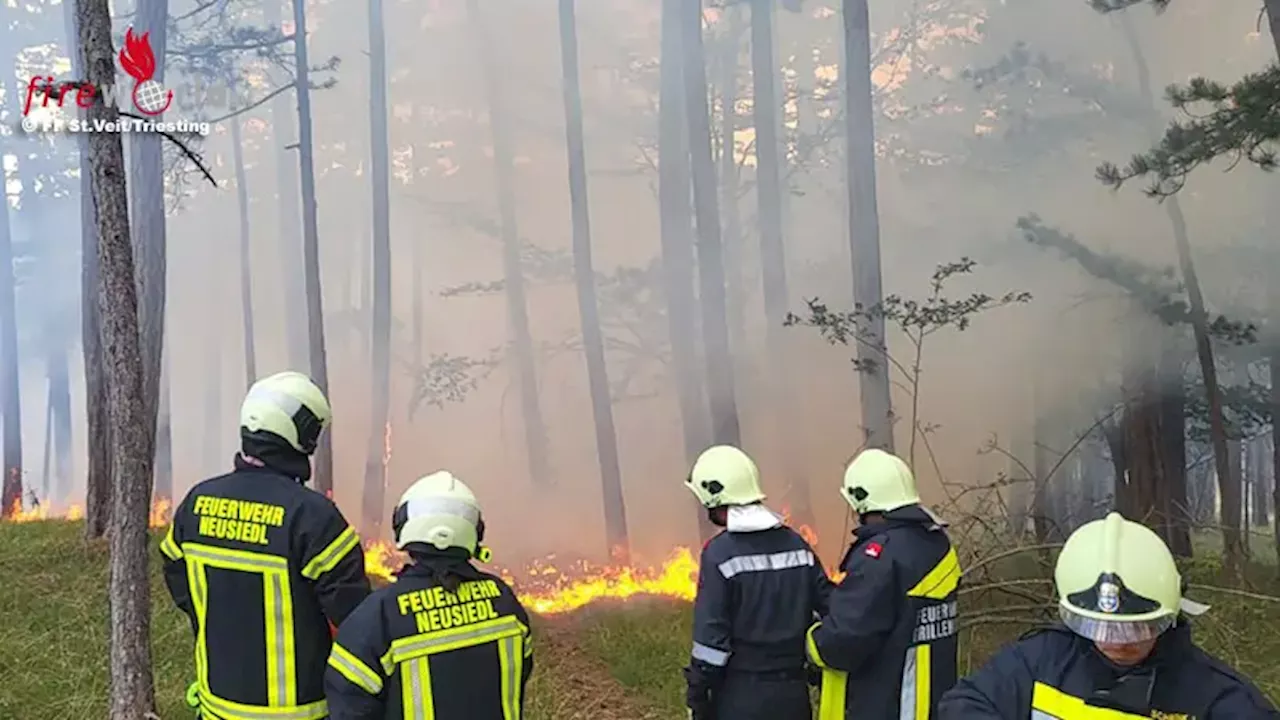 Nö: Waldbrand in Hernstein noch rechtzeitig entdeckt → Landwirte unterstützen mit Güllefässern