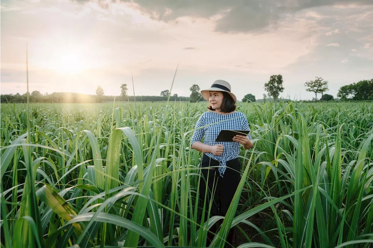 A Short, Sweet Look At The Benefits Of Digitizing Agribusiness