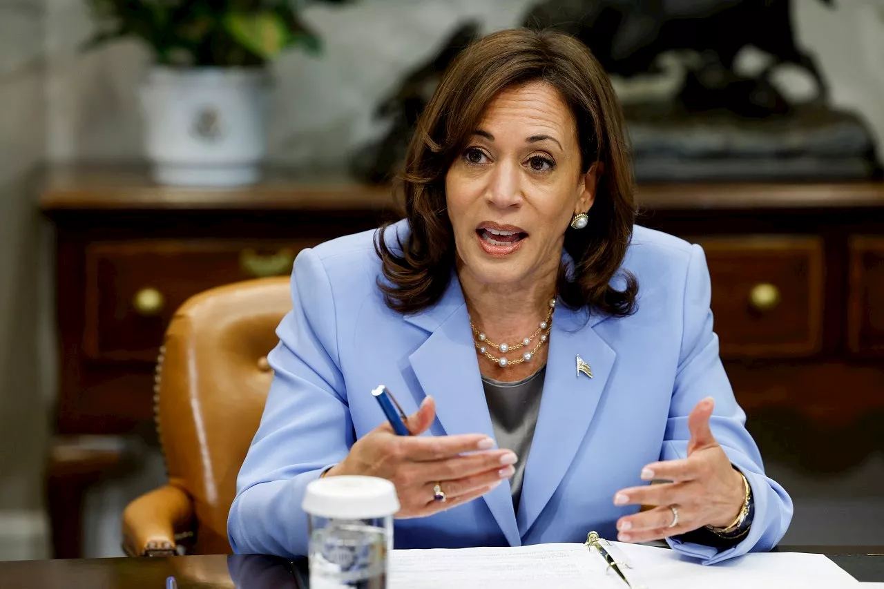 Major Biden donor shares concerns over Kamala Harris run, slams Democrats for 'squandering' big opportunity