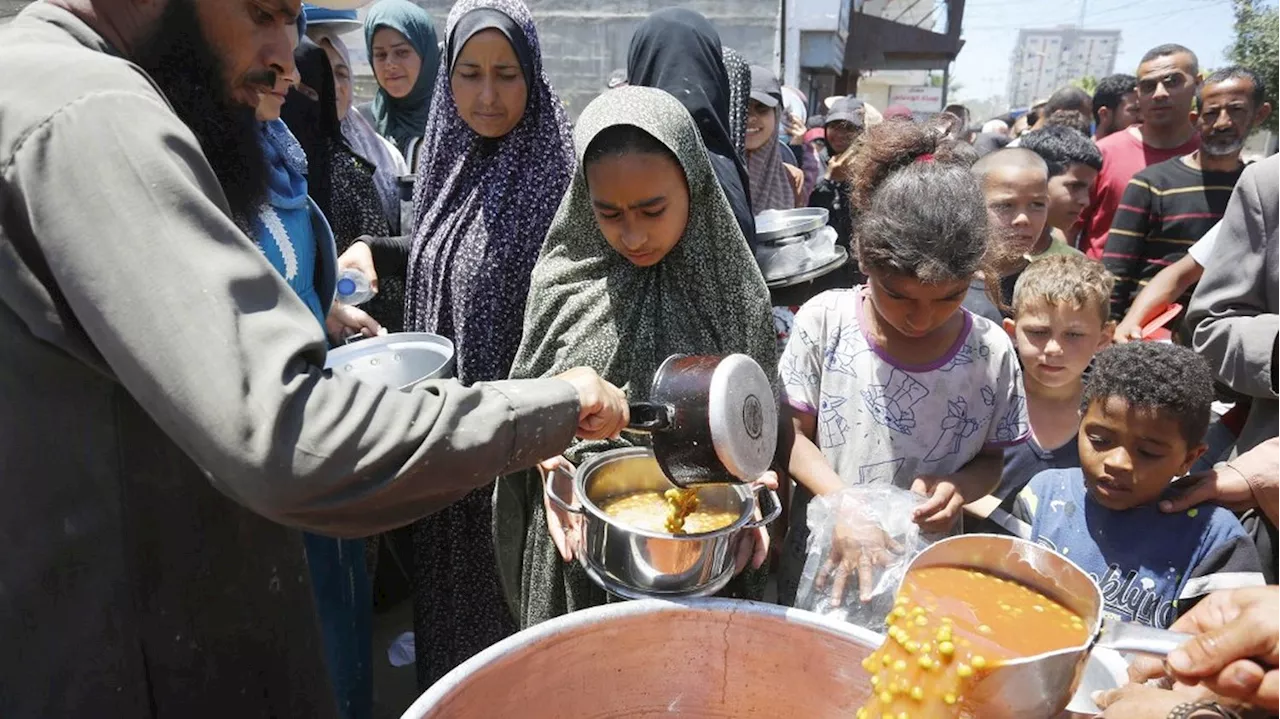 La faim dans le monde ne recule pas et touche 733 millions de personnes en 2023, soit près d'un humain sur dix