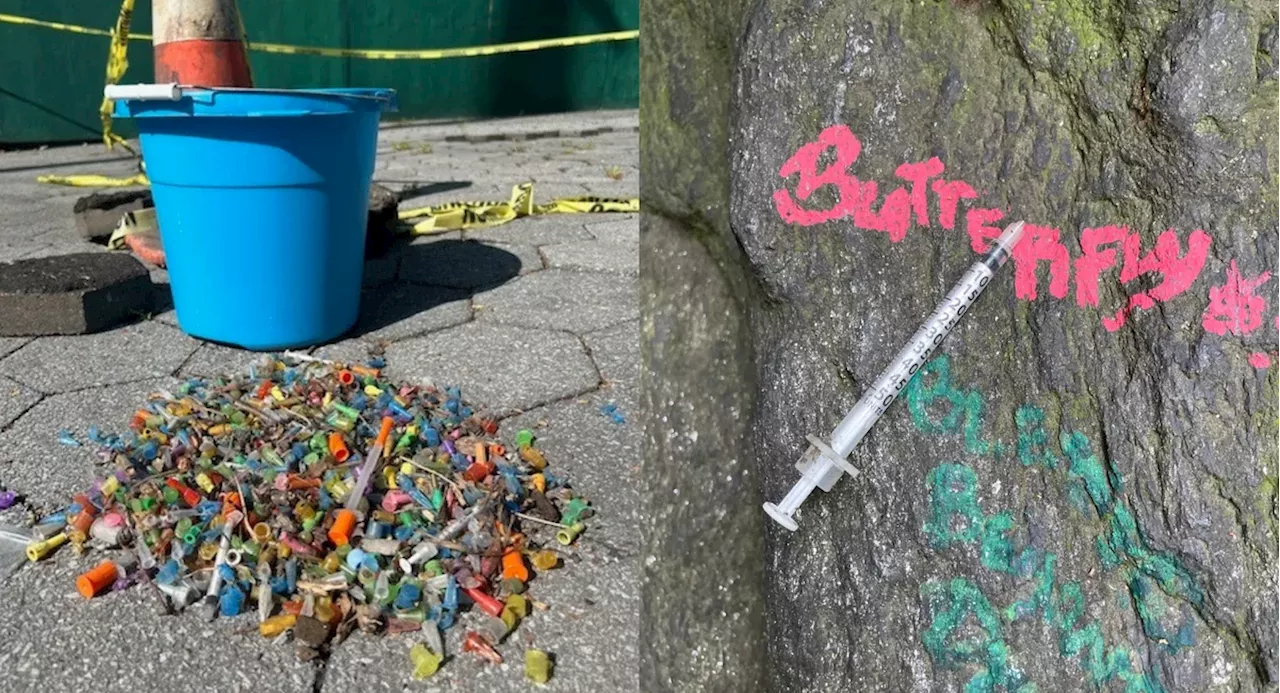 Harlem residents demand cleanup of drug refuse in Central Park's North Woods