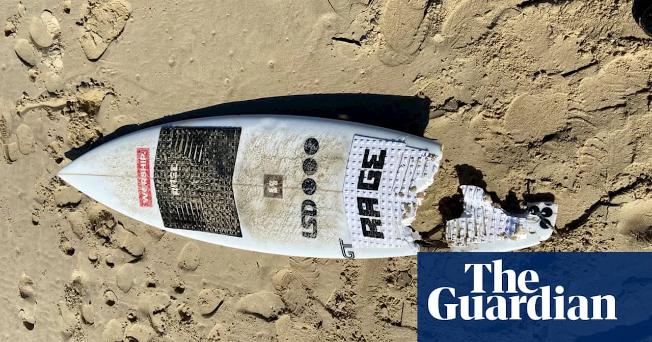 Surfer’s leg washes up on beach after Port Macquarie shark attack