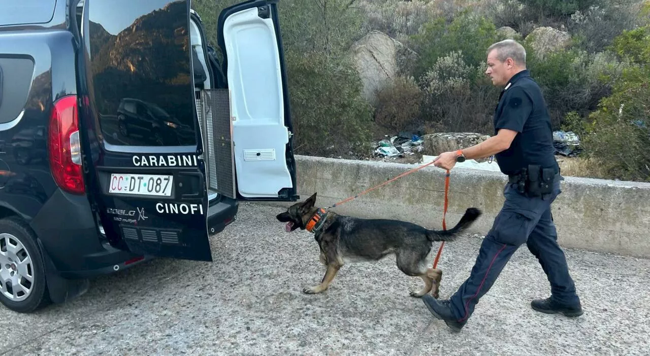 Francesca Deidda, trovati resti umani vicino a un ponte romano: era scomparsa in Sardegna a maggio