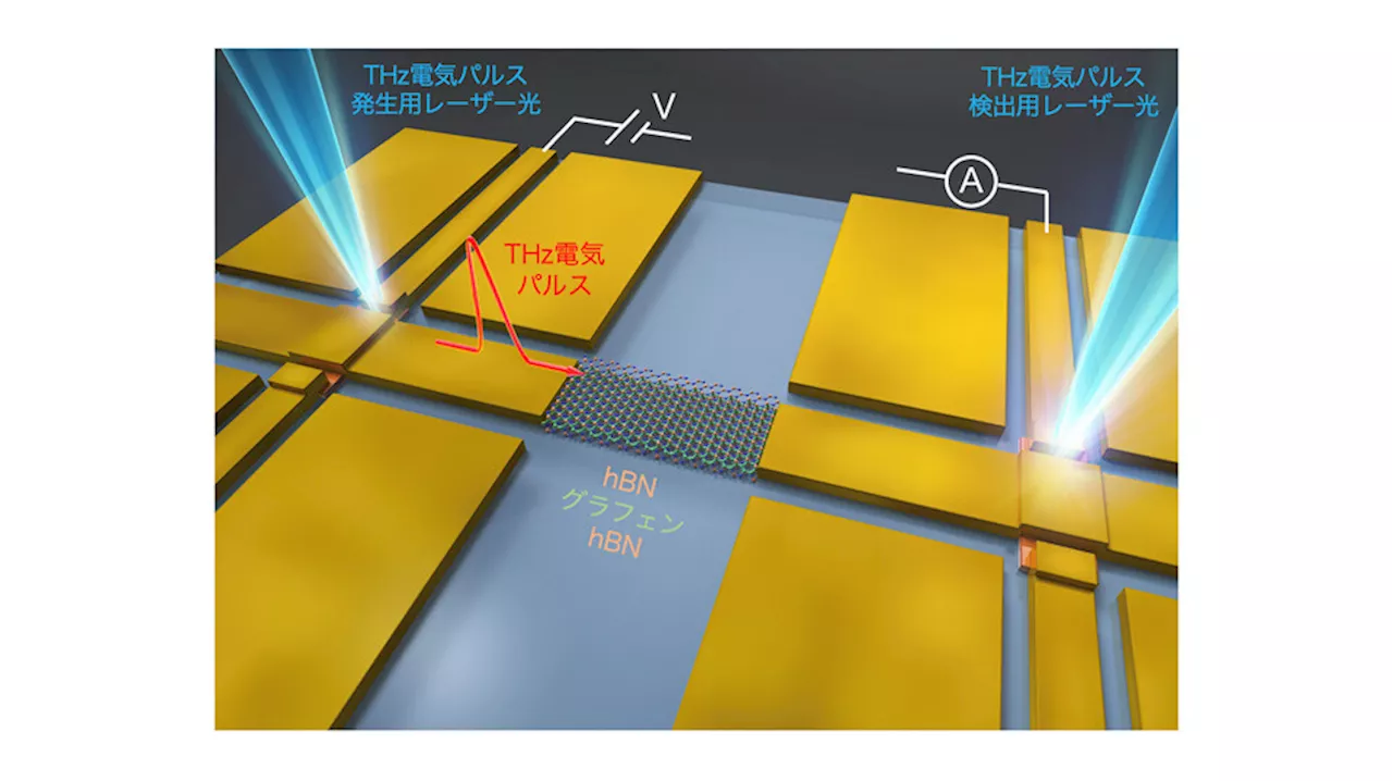 NTT、世界最短グラフェンプラズモン波束の発生・制御・測定に成功。回路上のTHz信号制御に新たな可能性