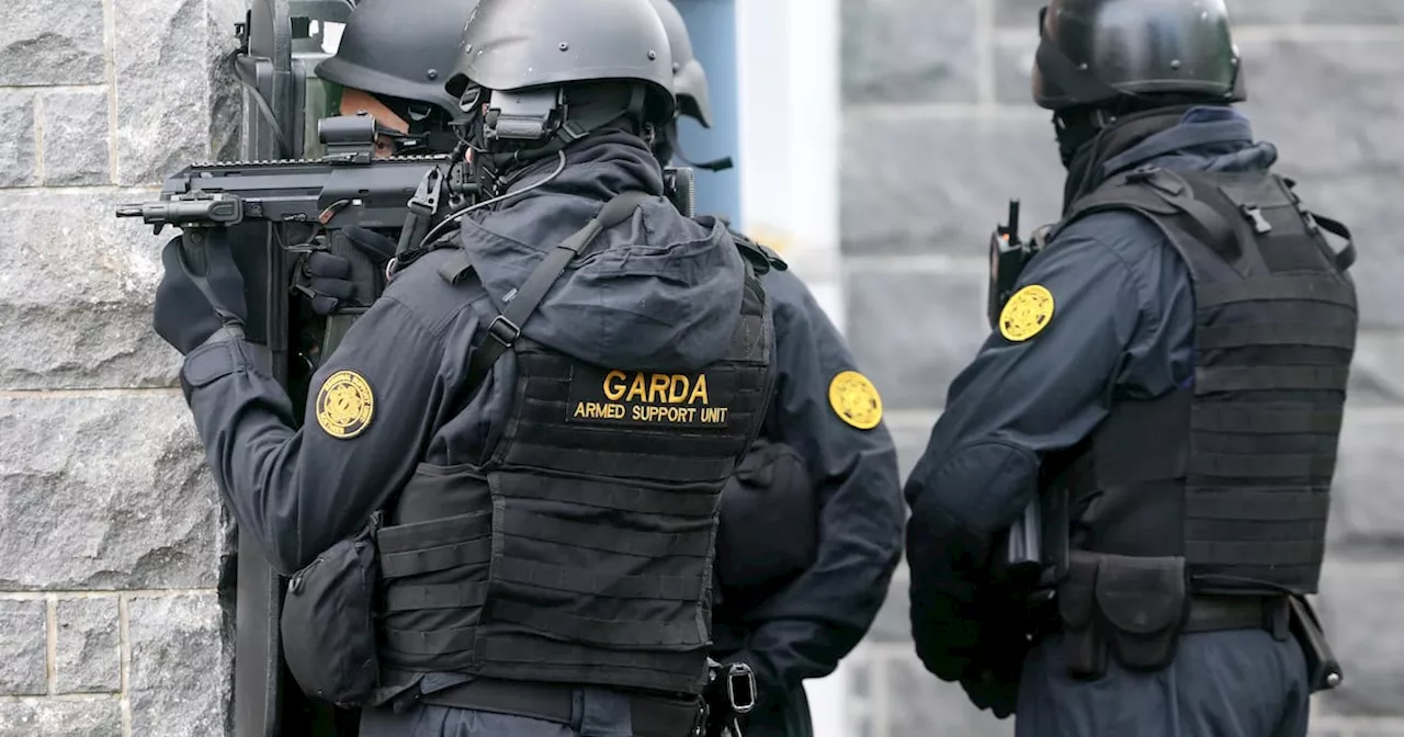 Armed gardaí called to standoff at housing estate in Co Laois