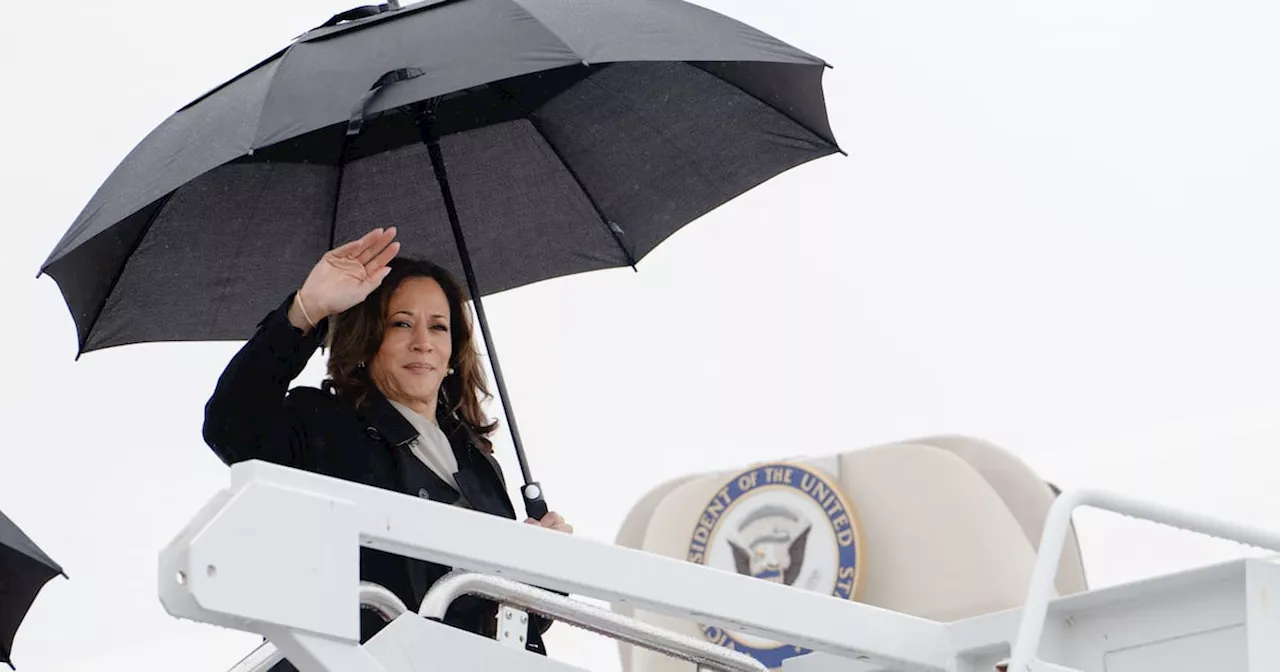 Daniel Geary: Kamala Harris should have been given the chance to prove herself