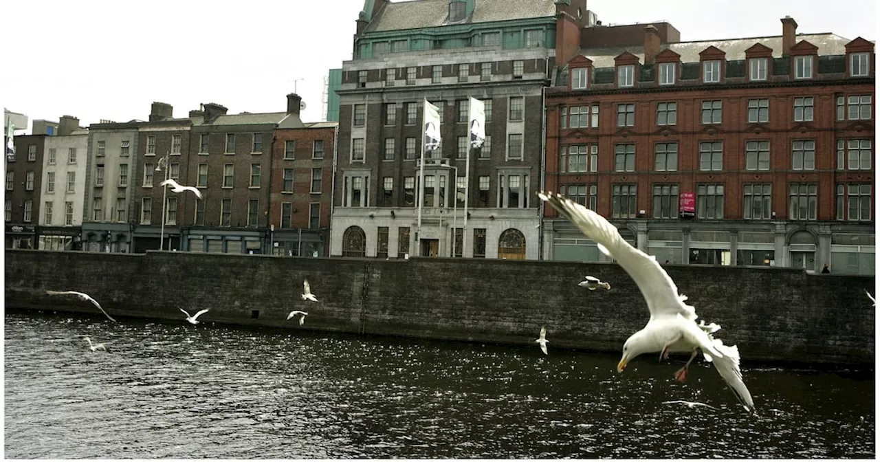 Planners block retention of new Temple Bar ‘superpub’