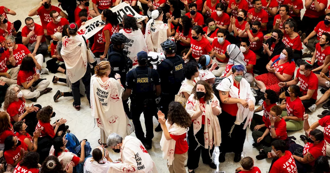 Some 250 Jewish activists arrested during Gaza war protest at US Congress building