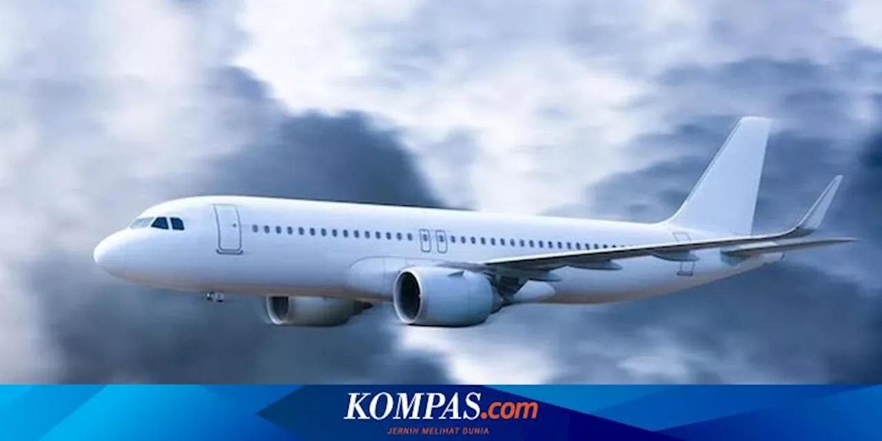 Pesawat di Nepal Jatuh Sesaat Setelah Lepas Landas, Satu Pilot Selamat