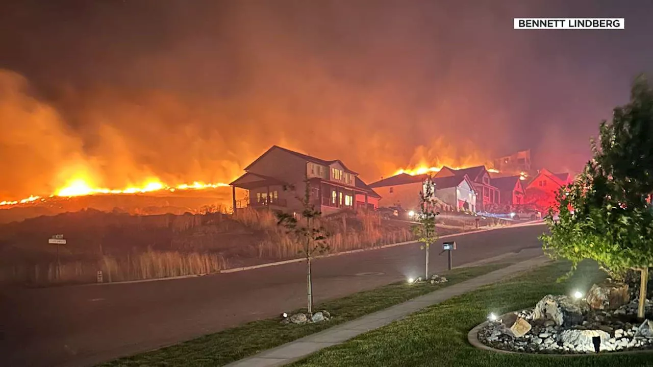 Hyde Park residents urging caution after brush fire gets dangerously close to homes