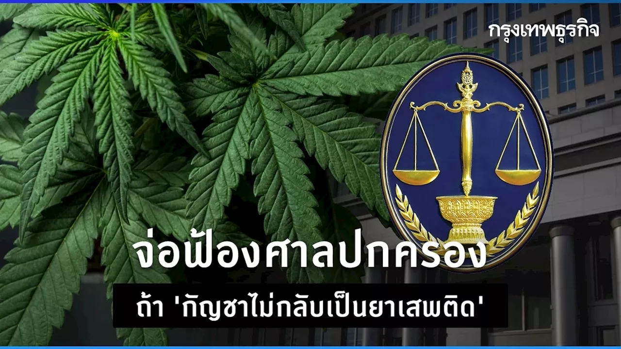 จ่อฟ้องศาลปกครอง หาก 'กัญชาไม่กลับเป็นยาเสพติด'