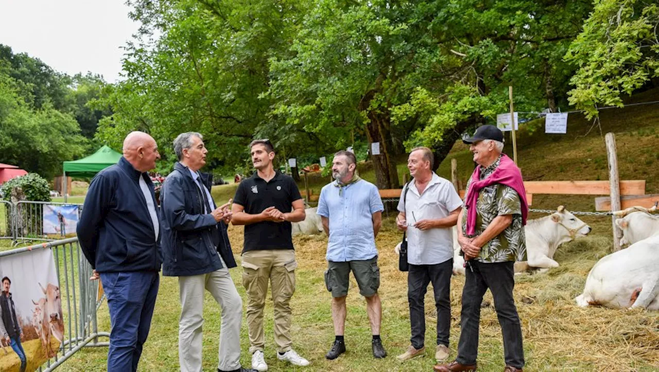 Foire de la Madeleine : échanges 'en direct et sans filtre' entre élus et éleveurs à Montesquiou