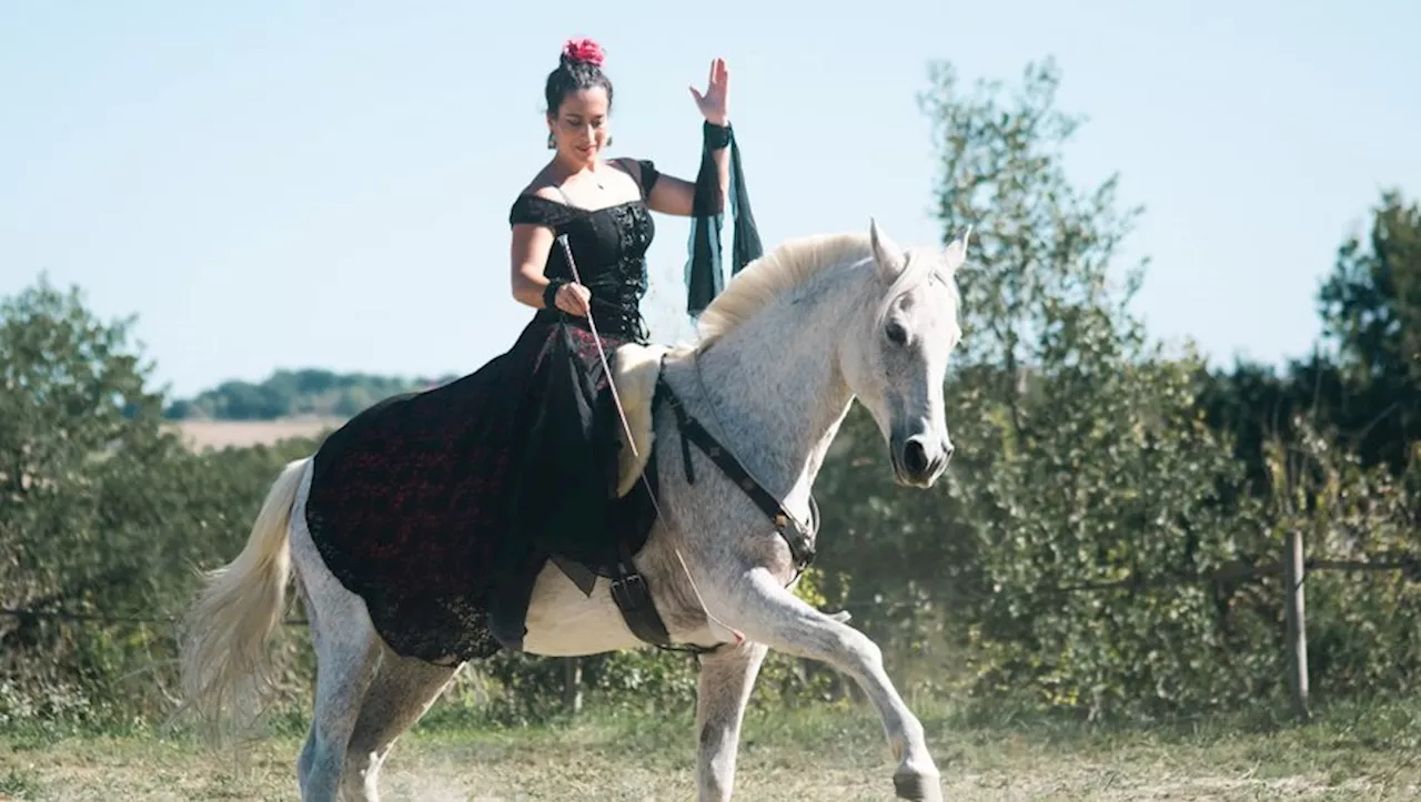 Dressage, travail en main, numéros ariens : le pôle hippique de Barbaste organise son premier spectacle équest