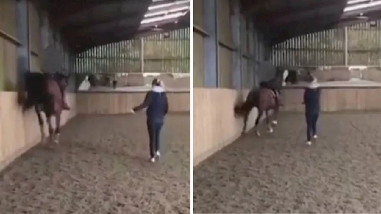 Footage emerges of Team GB's Charlotte Dujardin whipping horse 'like an elephant in a circus'