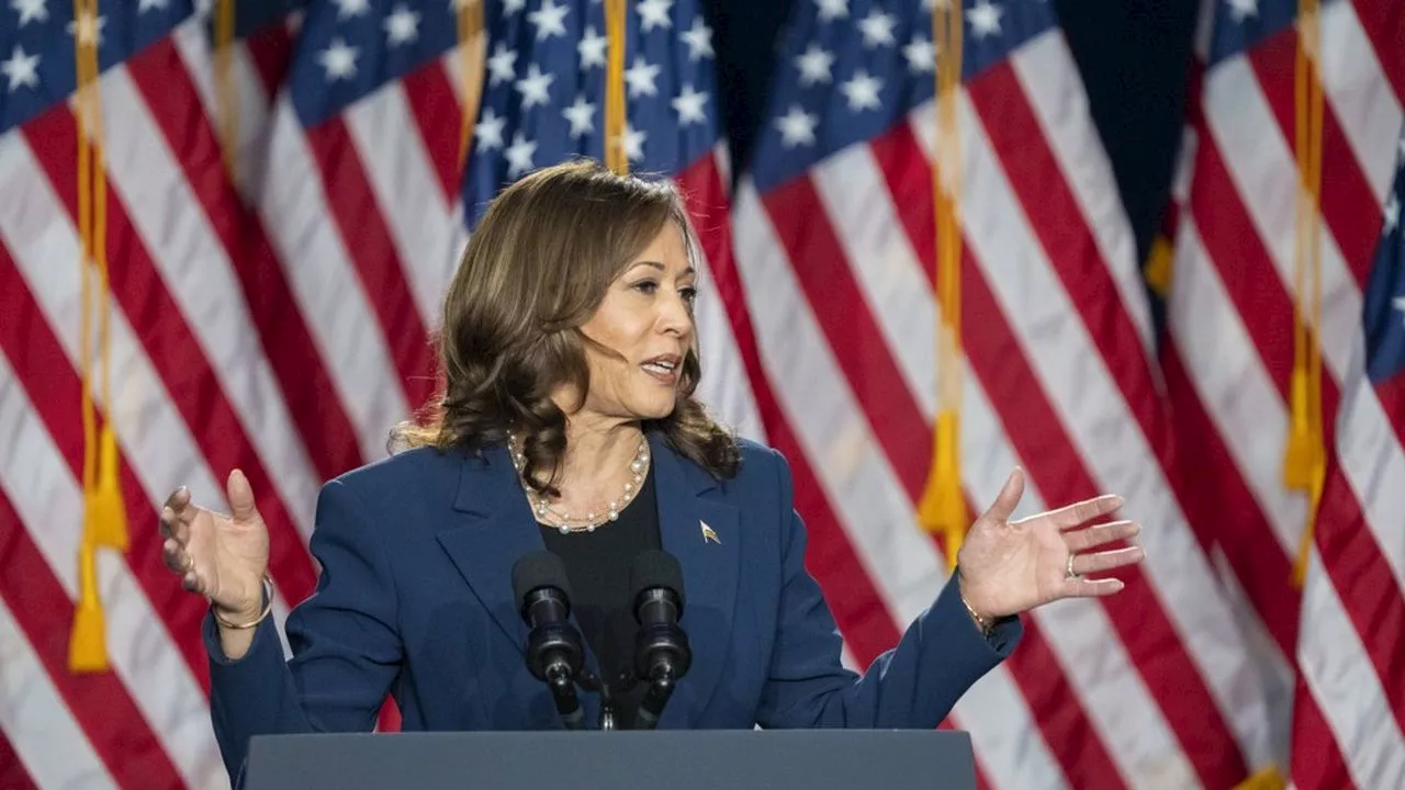 Présidentielle américaine 2024 : pourquoi Kamala Harris suscite l'espoir