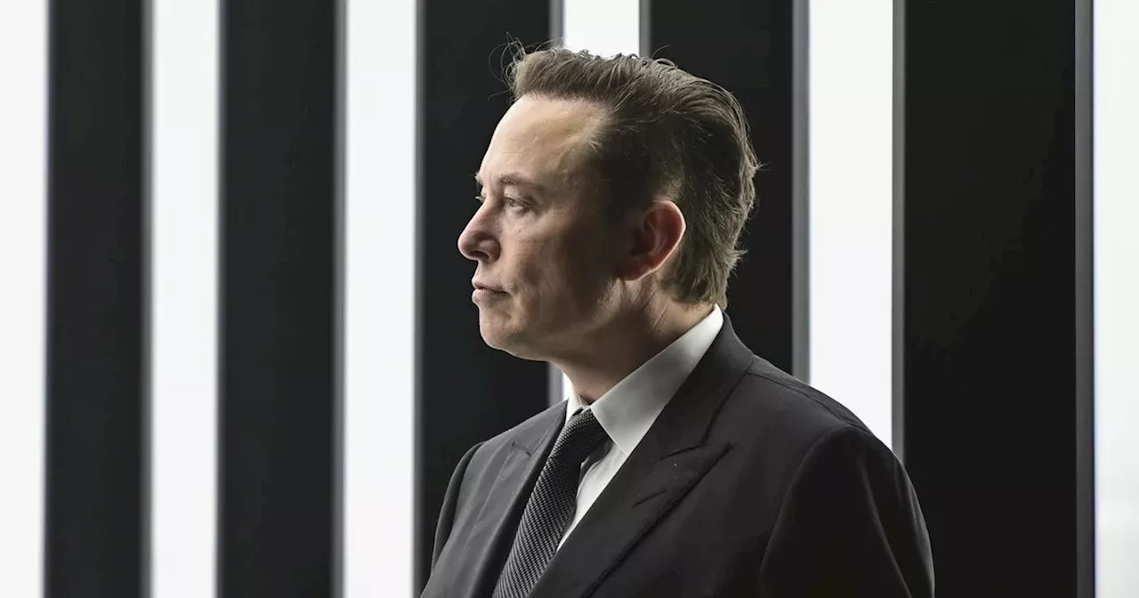 Elon Musk, &#034;preparati a morire&#034;: il clamoroso post del magnate, &#034;dovrebbero insegnarlo...&#034;