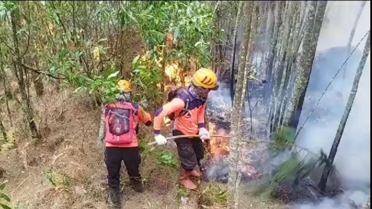 Karthutla di Bukit Pager Watu Lereng Gunung Arjuno Berhasil Dipadamkan