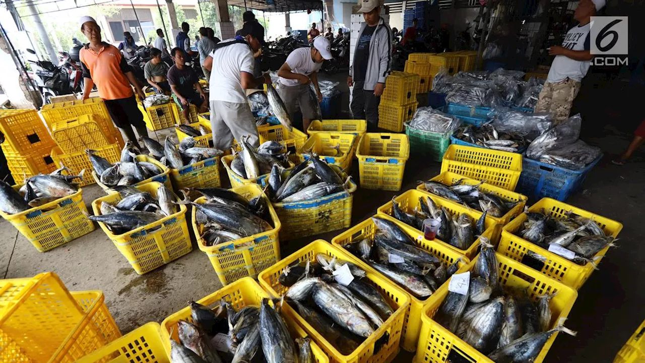 KKP: Neraca Dagang Ikan RI Surplus Rp 40,76 Triliun di Semester I 2024