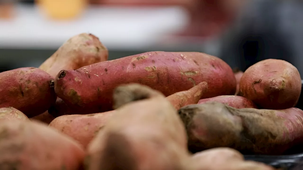 Moms and caregivers facing family food insecurity need help with more than just food, researchers say