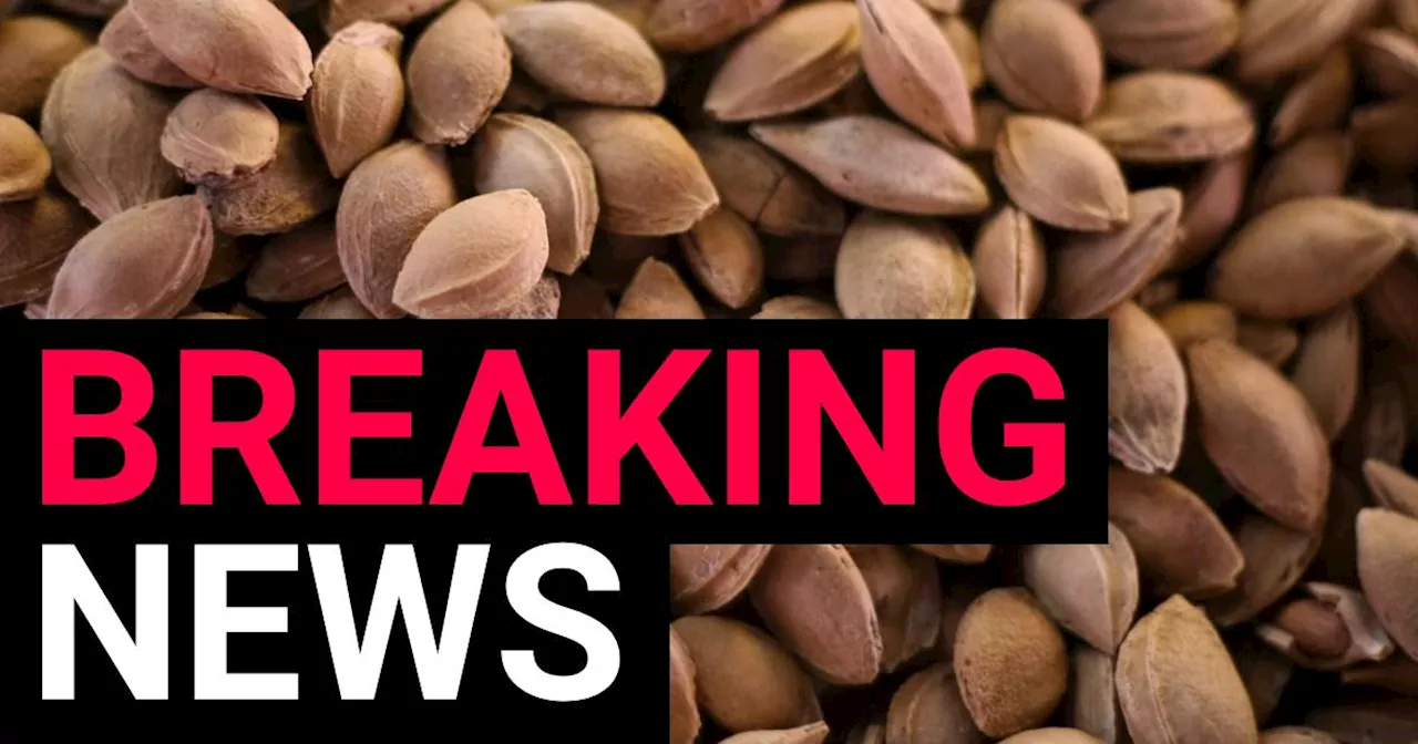 Buram Nuts in Syrup recalled over fears they may release cyanide