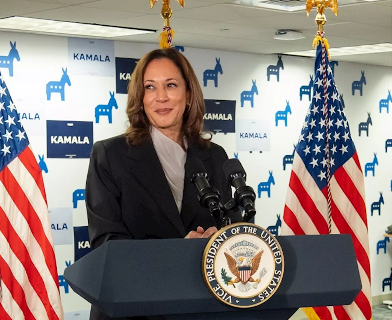 Kamala Harris invigorates Democrats in swing state Pennsylvania